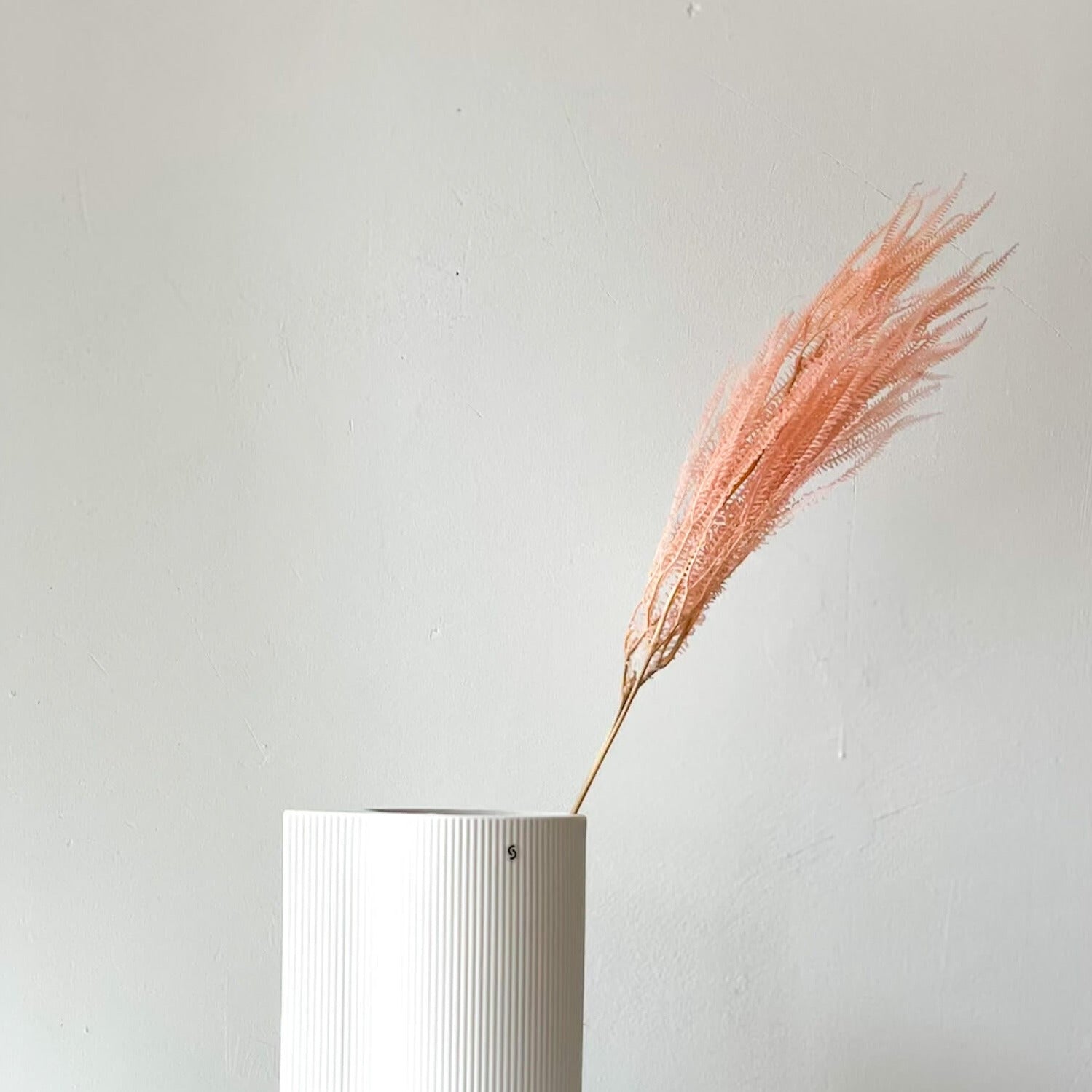 Konservierter Farn: Zauberhafte Momente für Dein Zuhause 