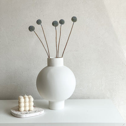 Craspedia I Trommelstöckchen 