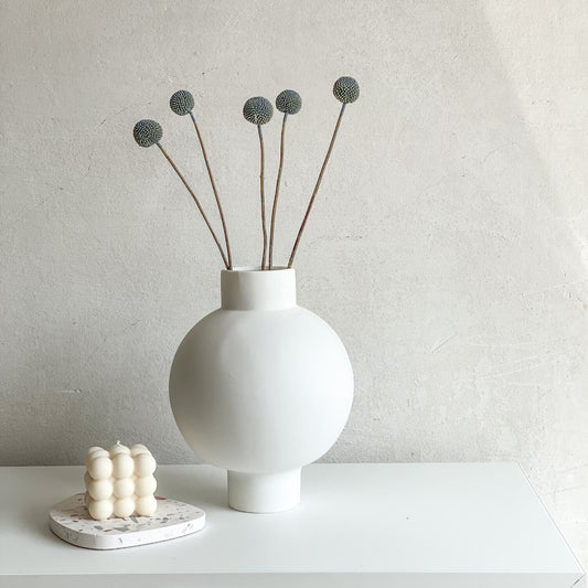 Craspedia I Trommelstöckchen 