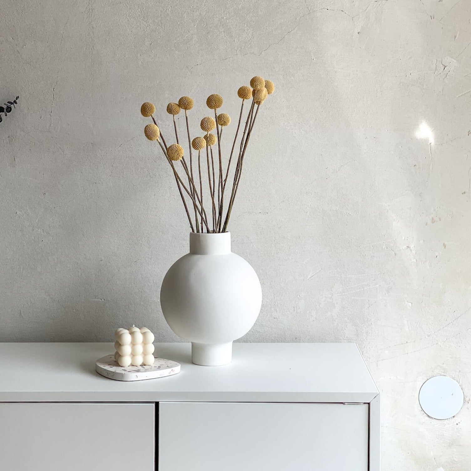 Craspedia I Trommelstöckchen 