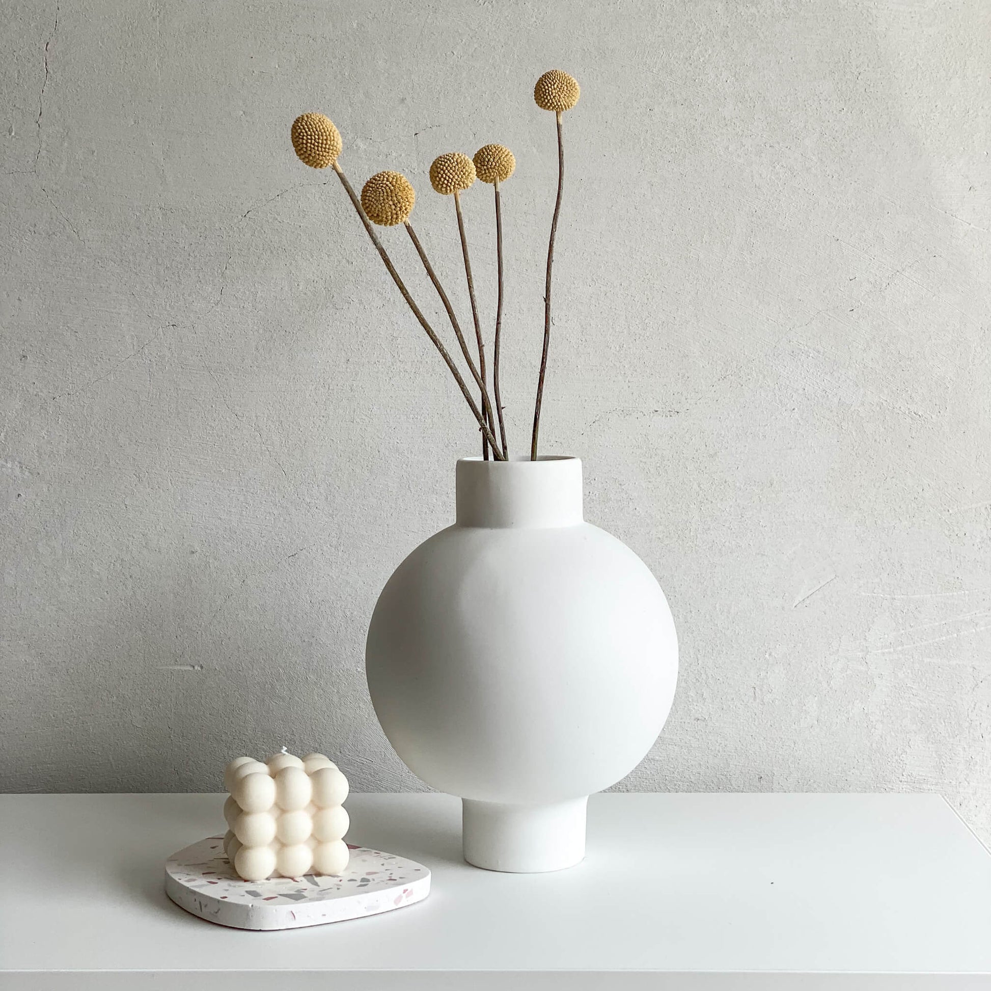 Craspedia I Trommelstöckchen 