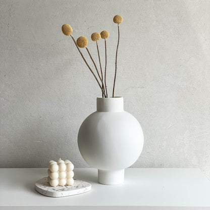 Craspedia I Trommelstöckchen 