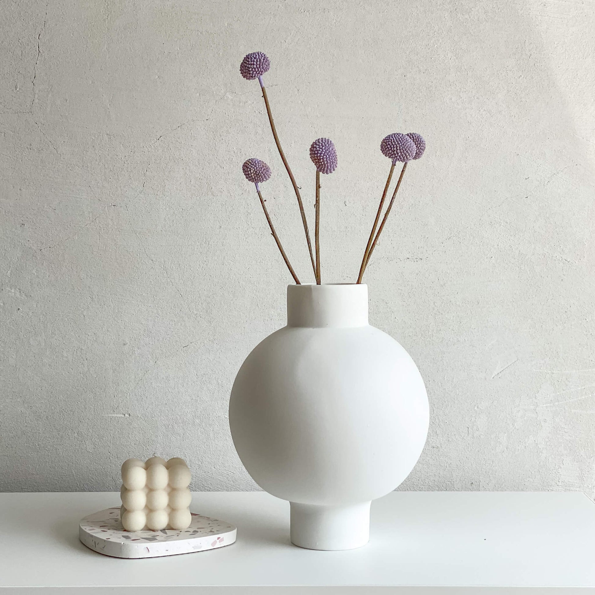 Craspedia I Trommelstöckchen 