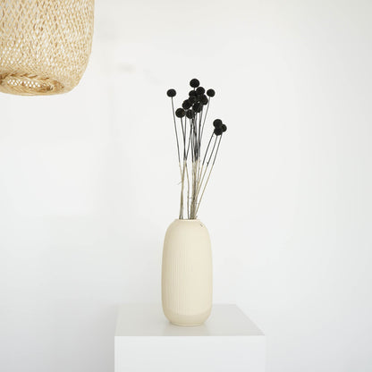 Craspedia I Trommelstöckchen 