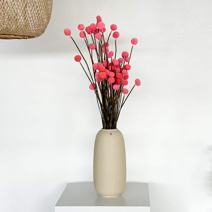 Craspedia I Trommelstöckchen 