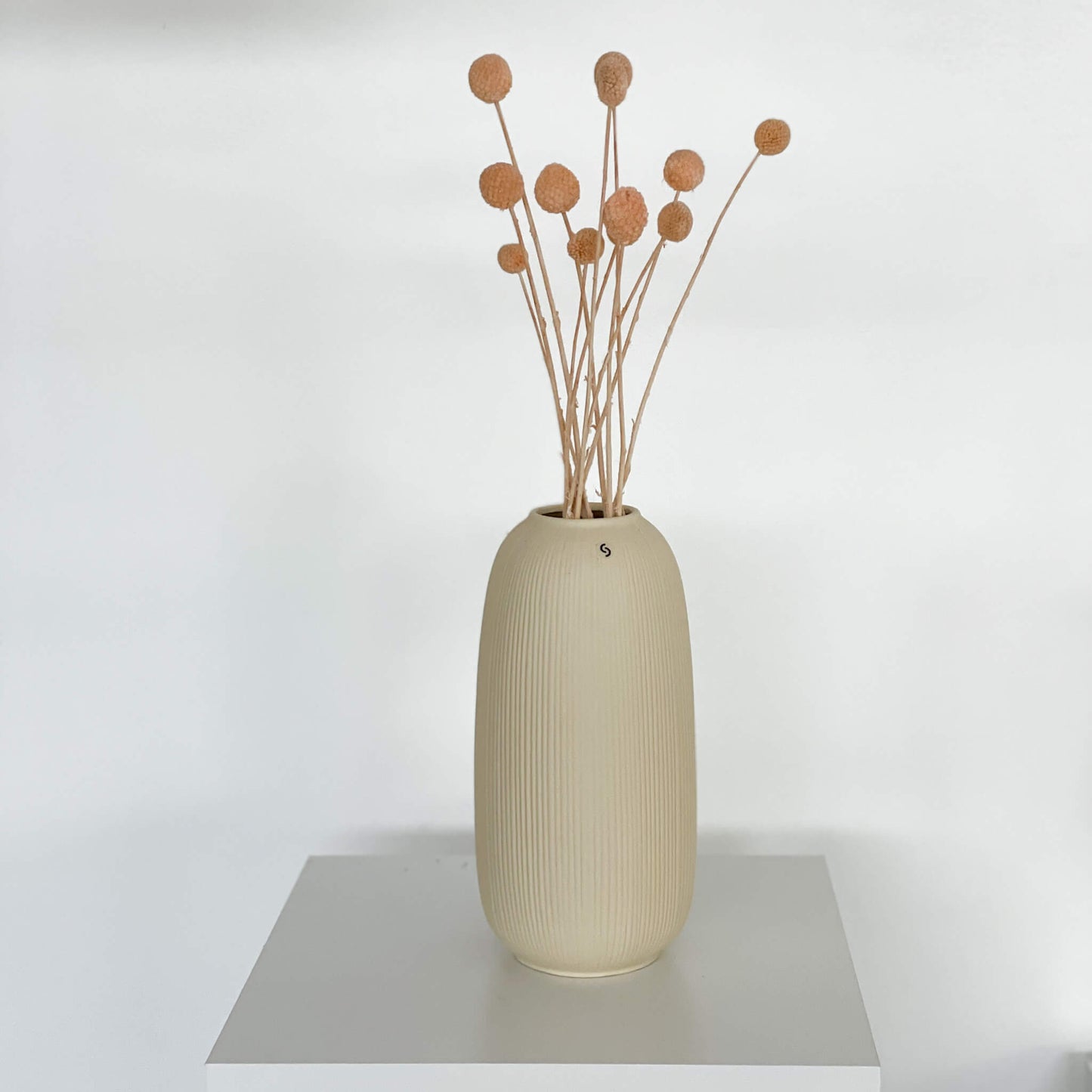 Craspedia I Trommelstöckchen 