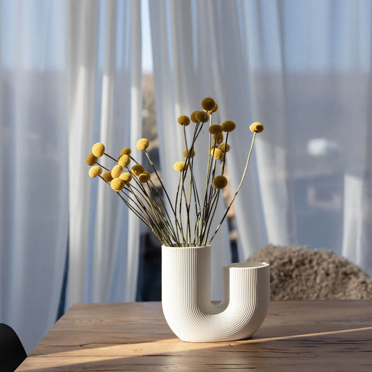 Craspedia I Trommelstöckchen 