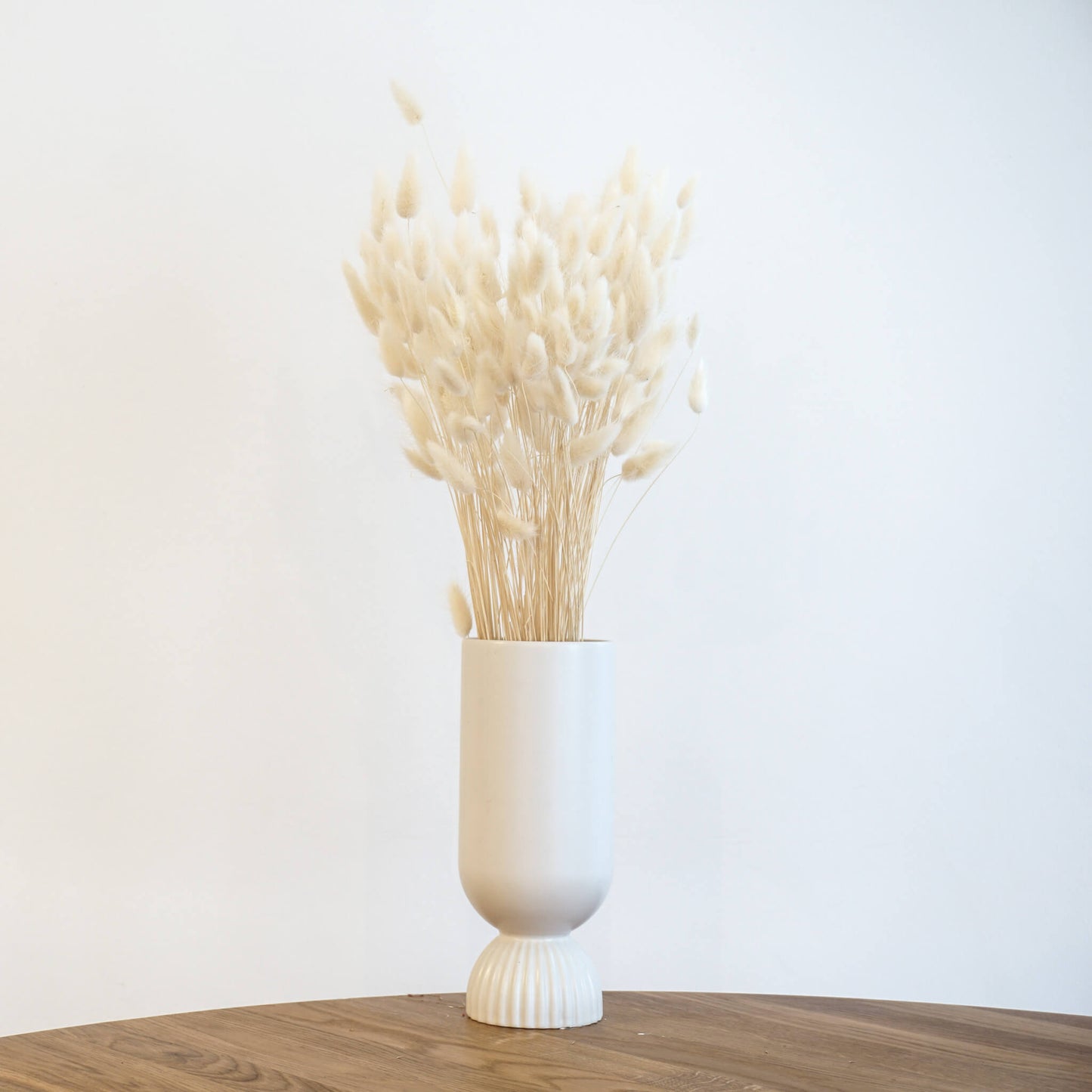 Lagurus | Samtgras | Hasenschwanz 60cm 