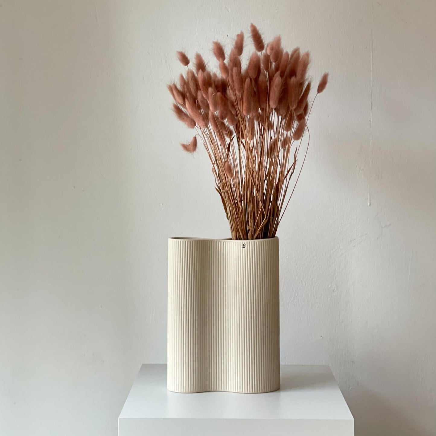 Lagurus | Samtgras | Hasenschwanz 60cm 