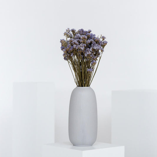 Strandflieder - Limonium Statice 