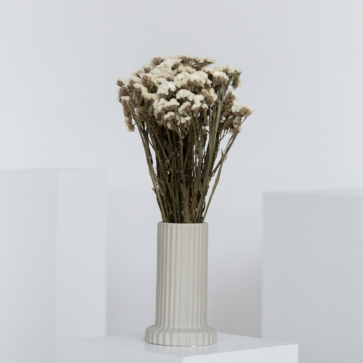 Strandflieder - Limonium Statice 