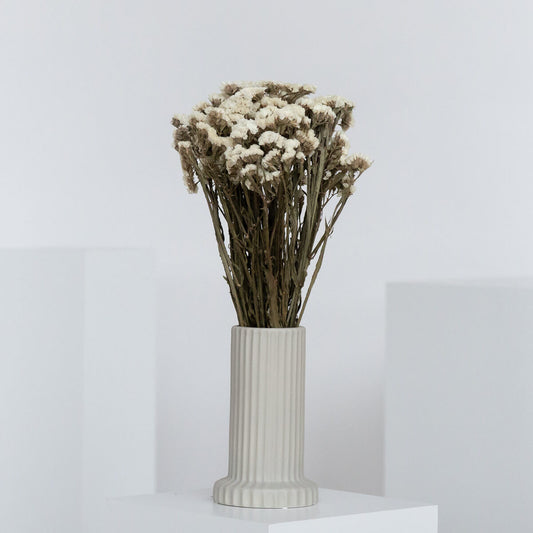 Strandflieder - Limonium Statice 