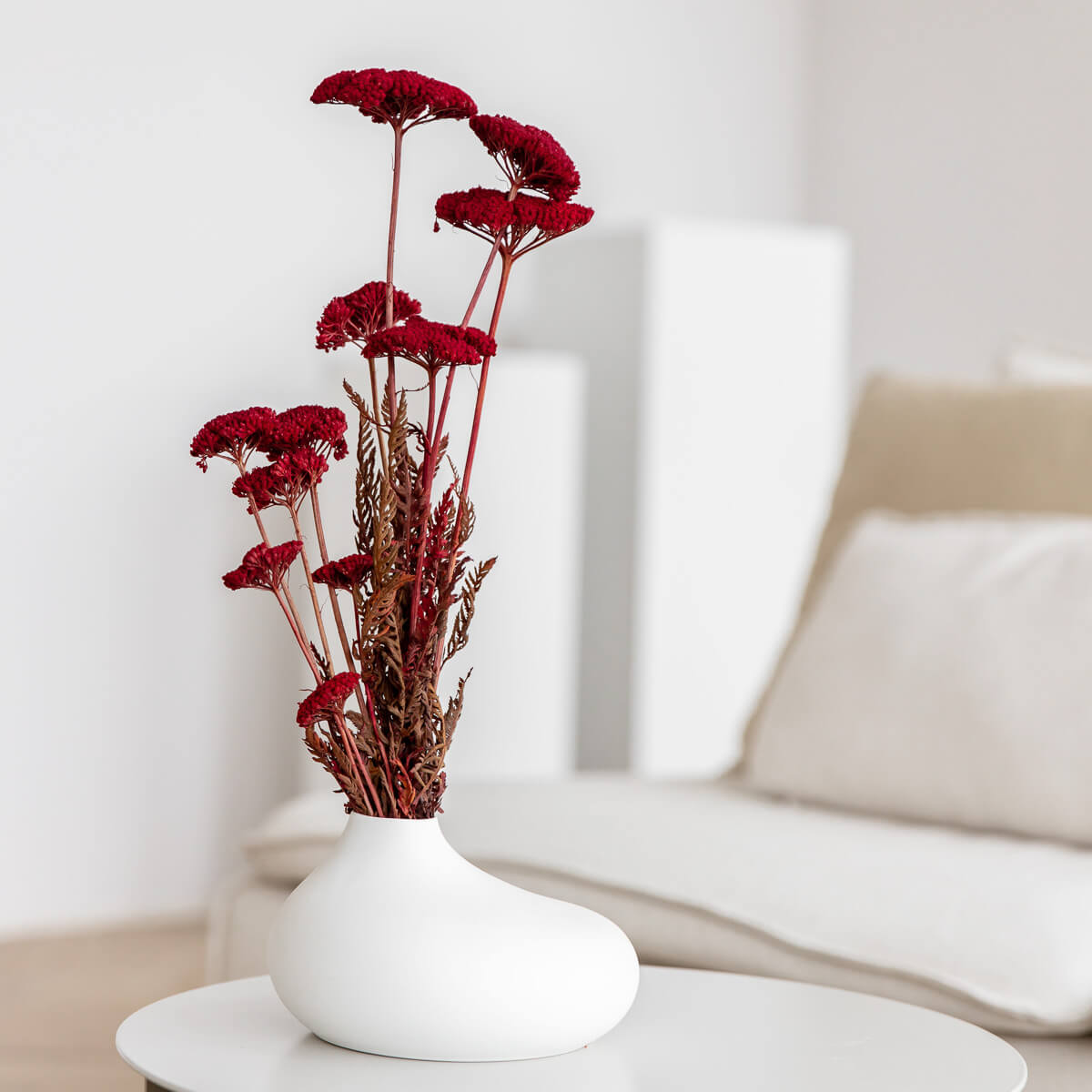 Schafgarbe getrocknet | Achillea 