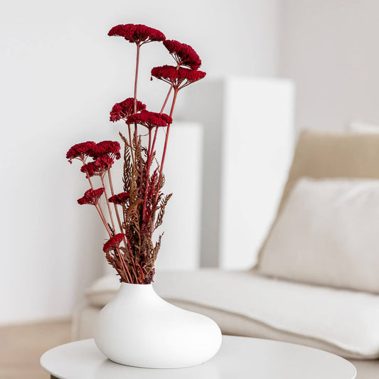 Schafgarbe getrocknet | Achillea 