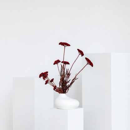 Schafgarbe getrocknet | Achillea 