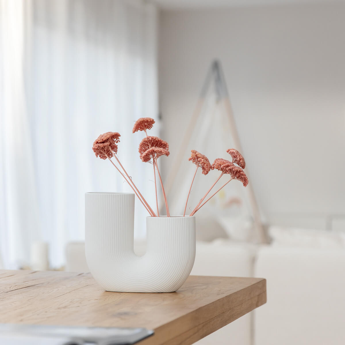 Schafgarbe getrocknet | Achillea 