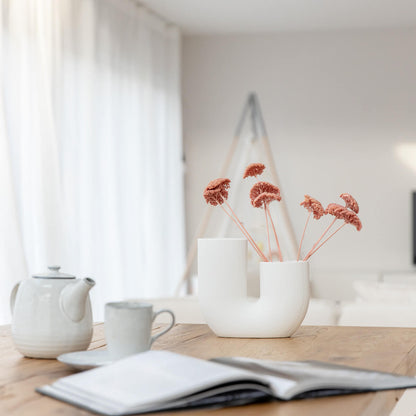 Schafgarbe getrocknet | Achillea 