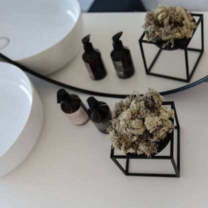 Reindeer Moss I Island Moos I Deko Moos 