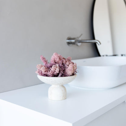 Reindeer Moss I Island Moos I Deko Moos 