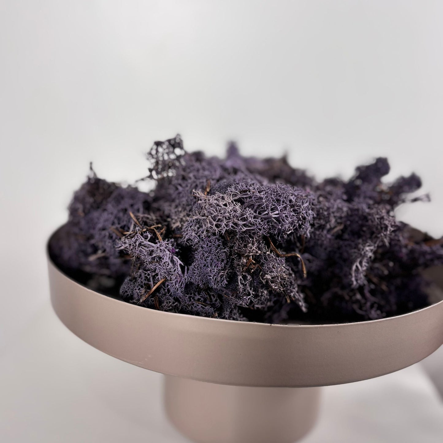 Reindeer Moss I Island Moos I Deko Moos 