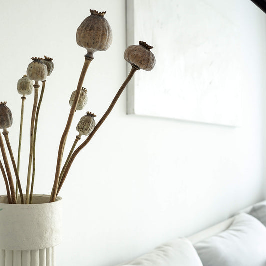 Mohnkapseln getrocknet: Lass deine Wohnung erblühen! 