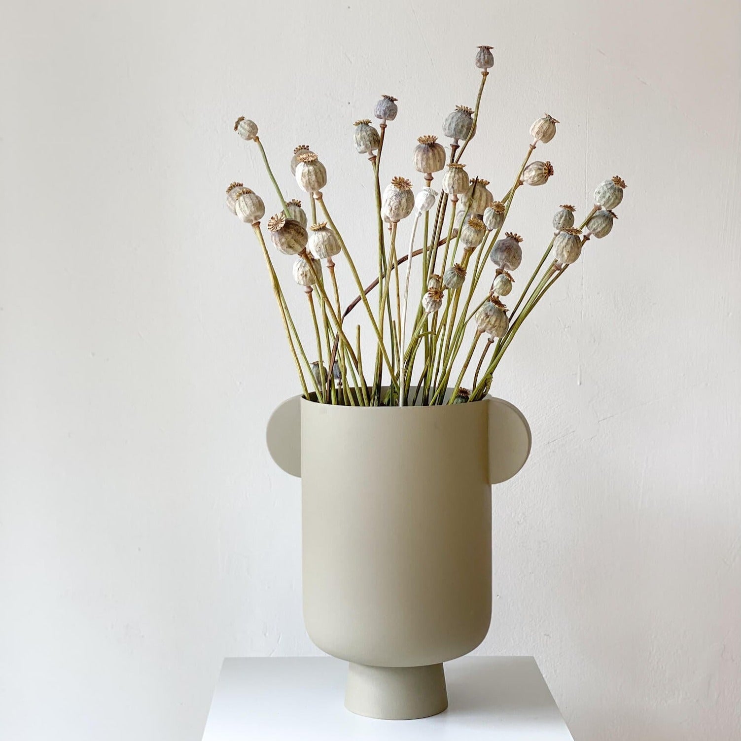 Mohnkapseln getrocknet: Lass deine Wohnung erblühen! 