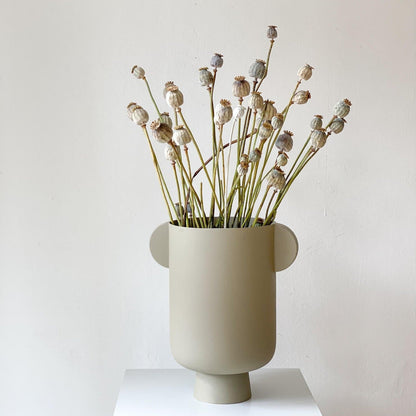 Mohnkapseln getrocknet: Lass deine Wohnung erblühen! 