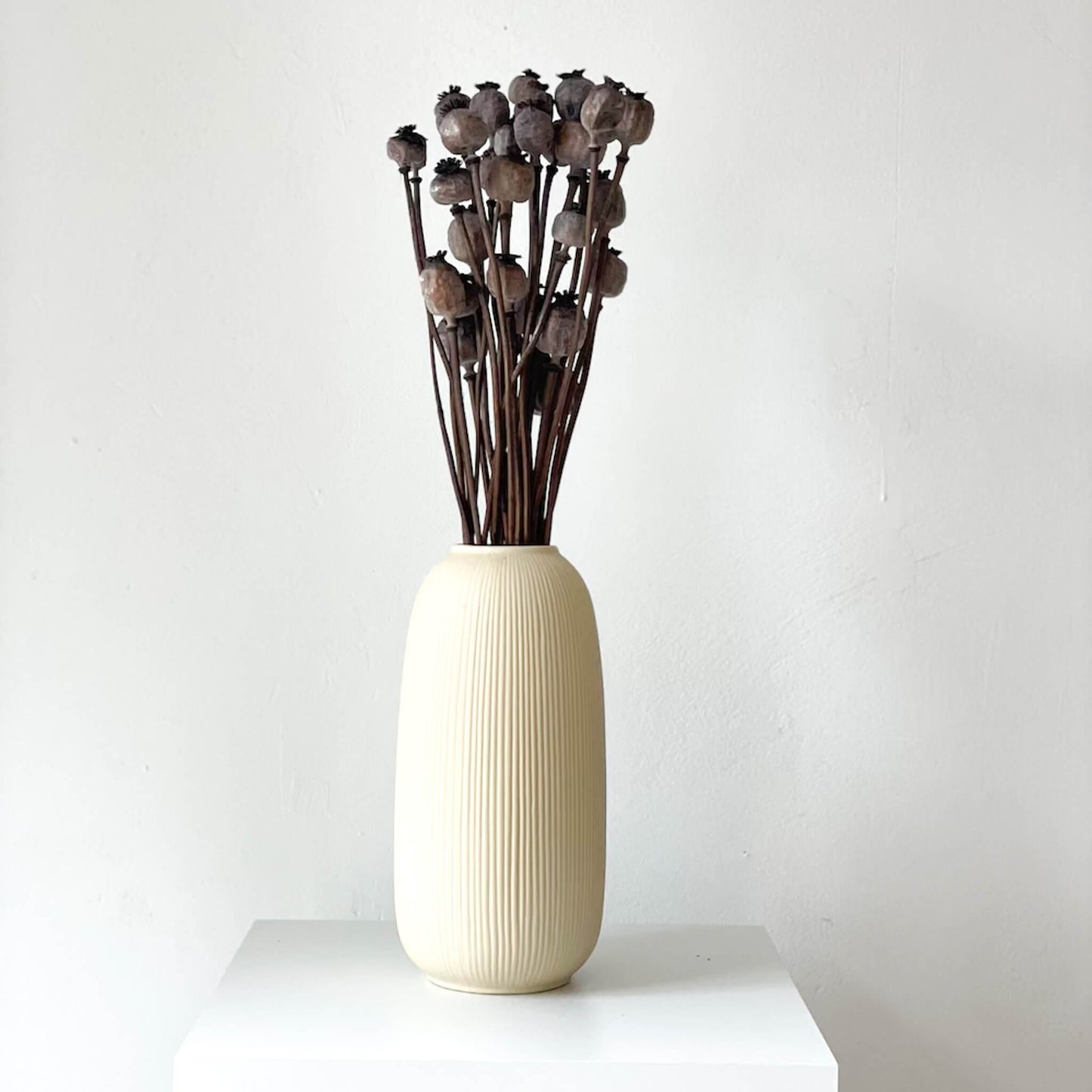 Mohnkapseln getrocknet: Lass deine Wohnung erblühen! 