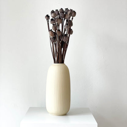 Mohnkapseln getrocknet: Lass deine Wohnung erblühen! 