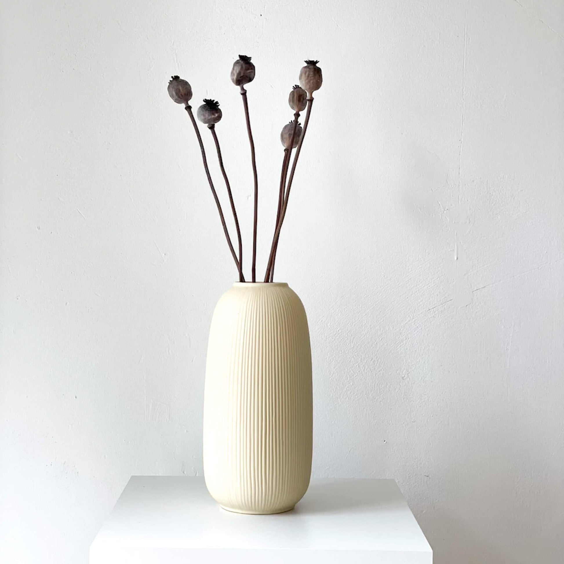 Mohnkapseln getrocknet: Lass deine Wohnung erblühen! 