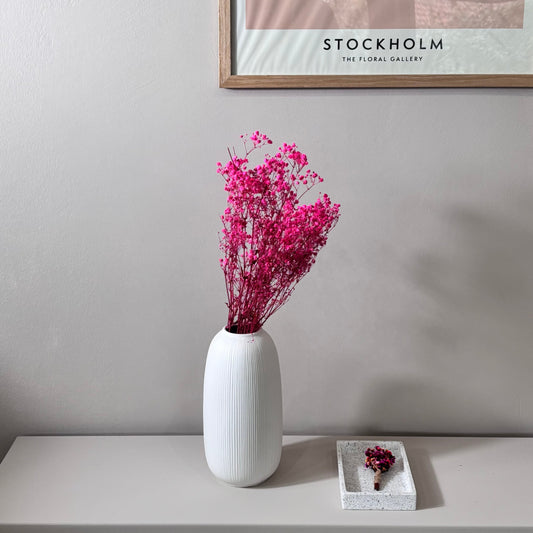 Gypsophilia | Schleierkraut: Ewige Schönheit für Deine Trockenblumensträuße und -kränze 