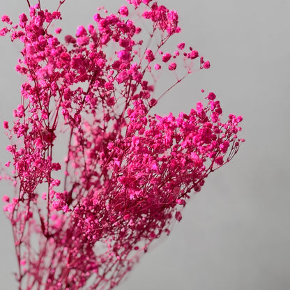 Gypsophilia | Schleierkraut: Ewige Schönheit für Deine Trockenblumensträuße und -kränze 
