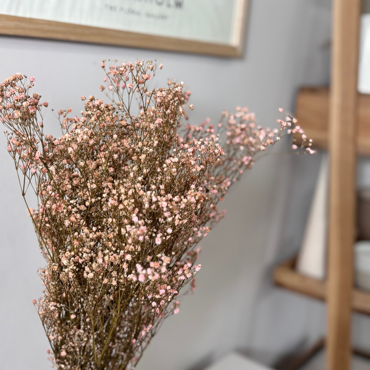 Gypsophilia | Schleierkraut: Ewige Schönheit für Deine Trockenblumensträuße und -kränze 