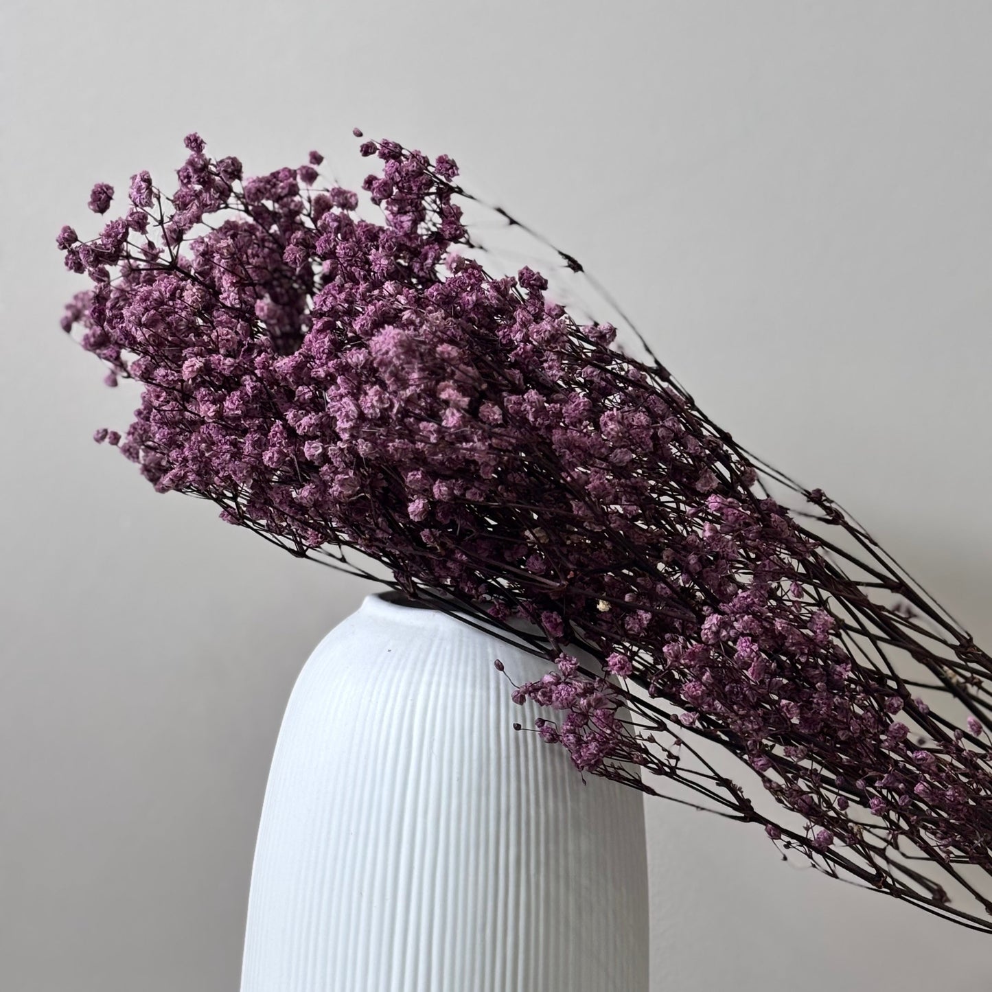 Gypsophilia | Schleierkraut: Ewige Schönheit für Deine Trockenblumensträuße und -kränze 