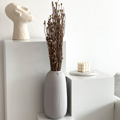 Mohnkapseln Mini - kleine Kapsel 