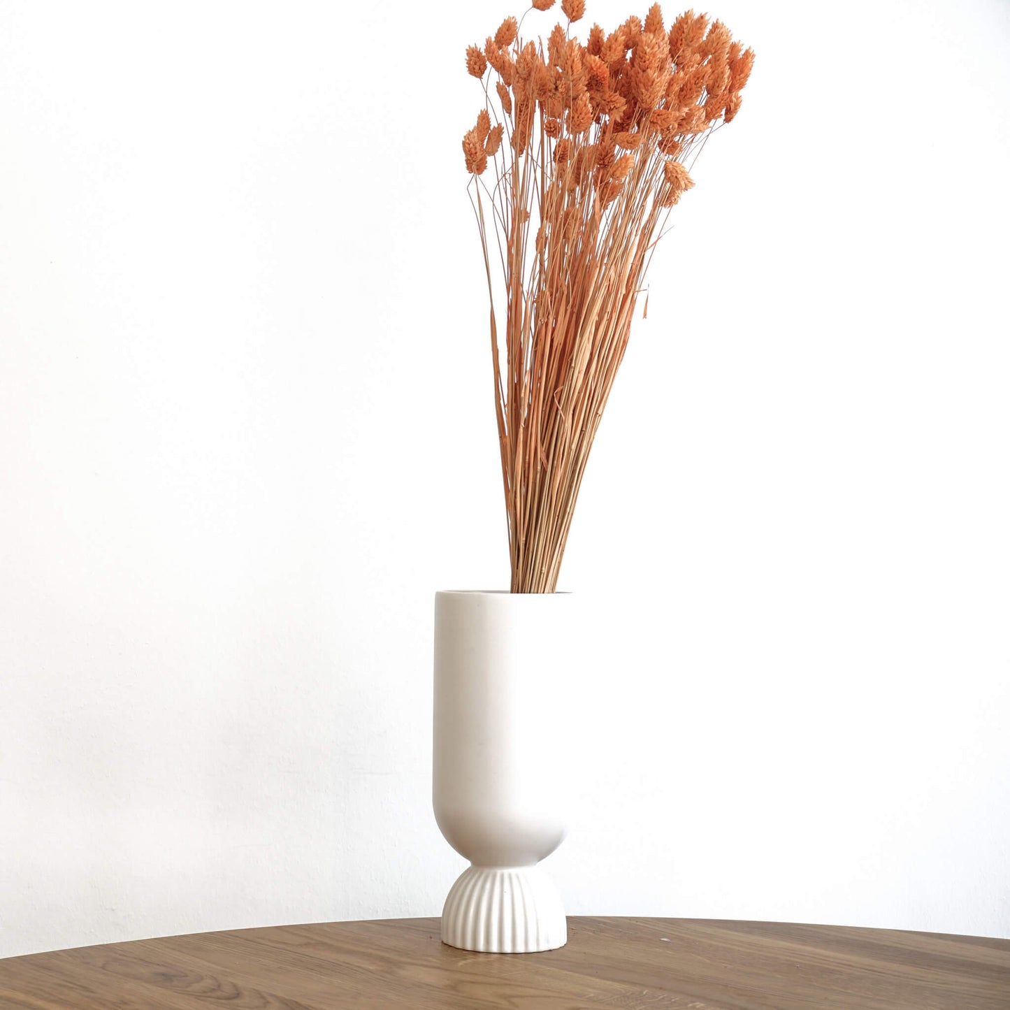 Phalaris I Kanariengras: Vielseitiger Allrounder für Deine Trockenblumen-Dekoration 