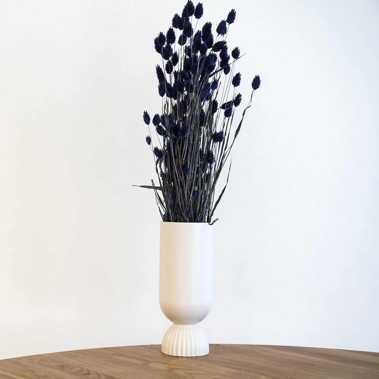 Phalaris I Kanariengras: Vielseitiger Allrounder für Deine Trockenblumen-Dekoration 