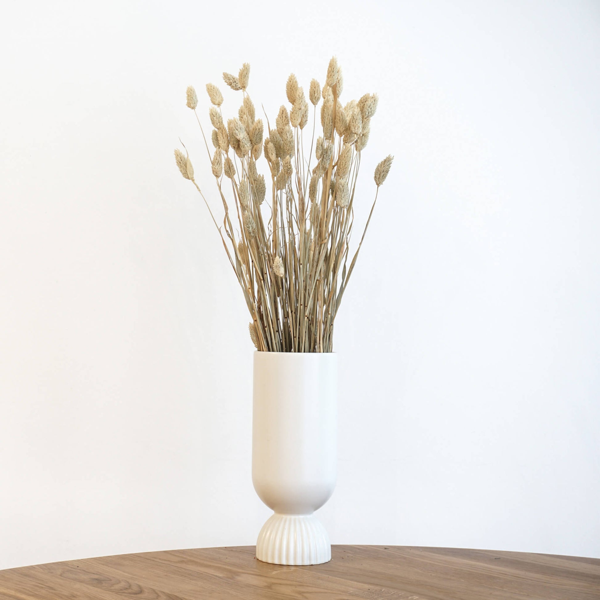 Phalaris I Kanariengras: Vielseitiger Allrounder für Deine Trockenblumen-Dekoration 