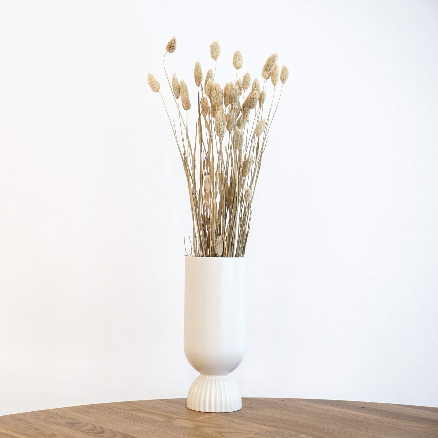 Phalaris I Kanariengras: Vielseitiger Allrounder für Deine Trockenblumen-Dekoration 