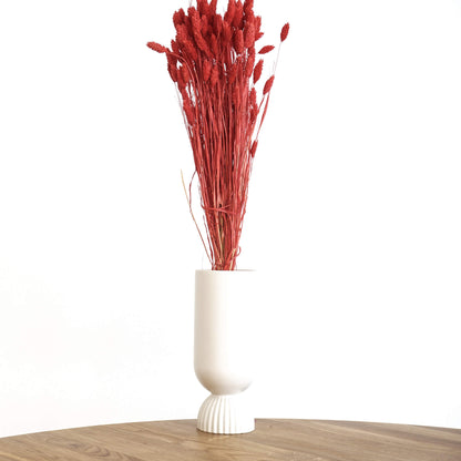 Phalaris I Kanariengras: Vielseitiger Allrounder für Deine Trockenblumen-Dekoration 