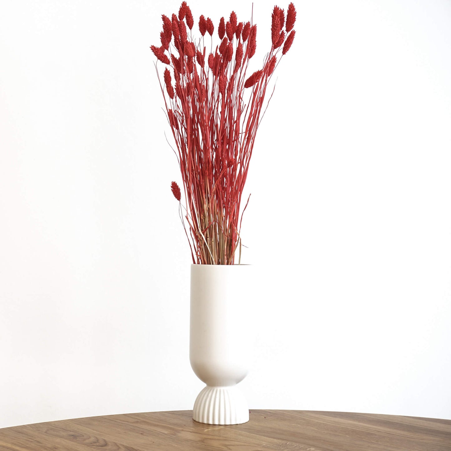 Phalaris I Kanariengras: Vielseitiger Allrounder für Deine Trockenblumen-Dekoration 