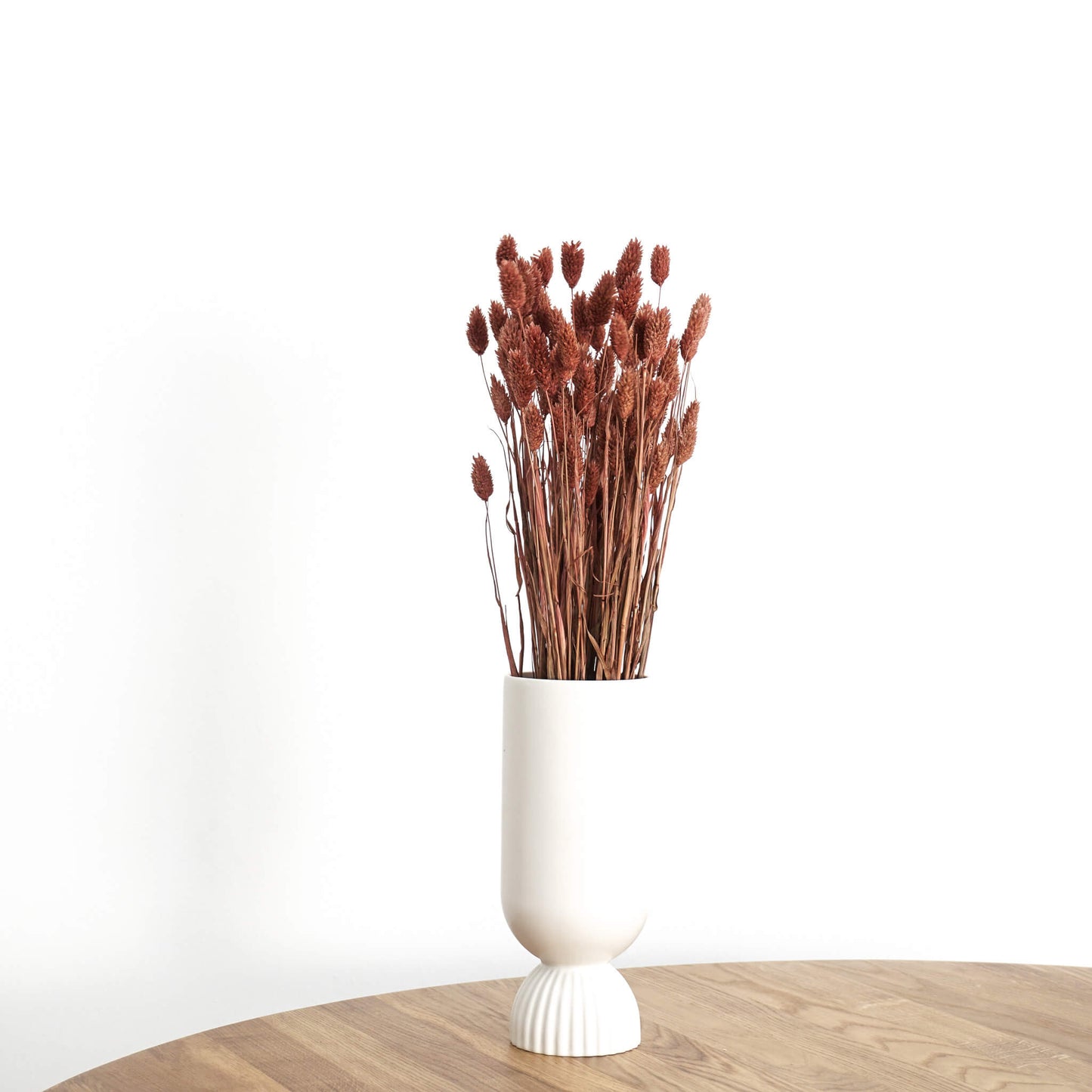 Phalaris I Kanariengras: Vielseitiger Allrounder für Deine Trockenblumen-Dekoration 