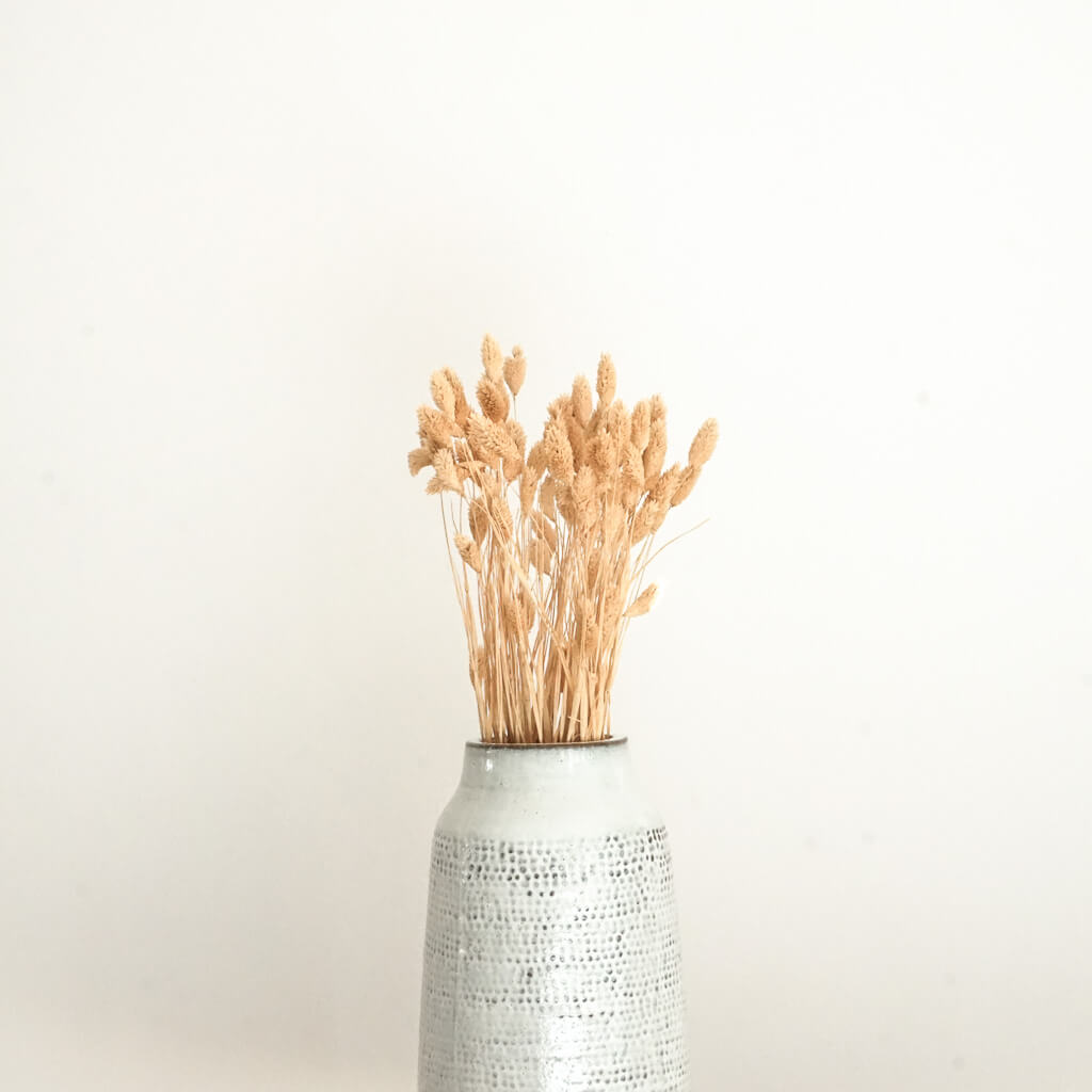 Phalaris I Kanariengras: Vielseitiger Allrounder für Deine Trockenblumen-Dekoration 
