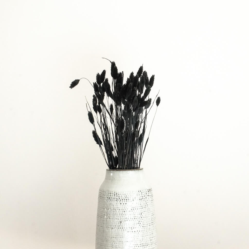 Phalaris I Kanariengras: Vielseitiger Allrounder für Deine Trockenblumen-Dekoration 