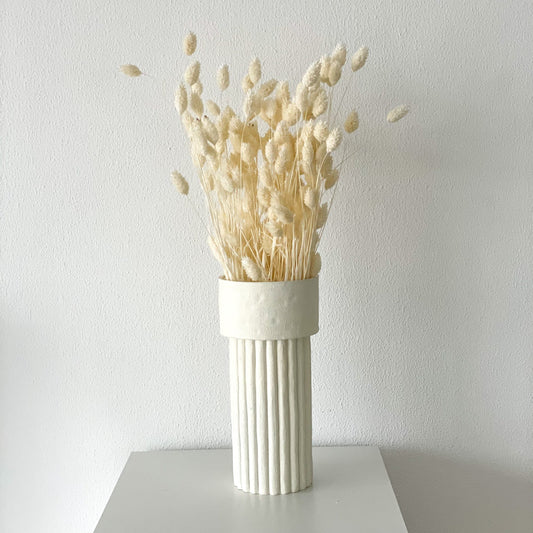 Phalaris I Kanariengras: Vielseitiger Allrounder für Deine Trockenblumen-Dekoration 