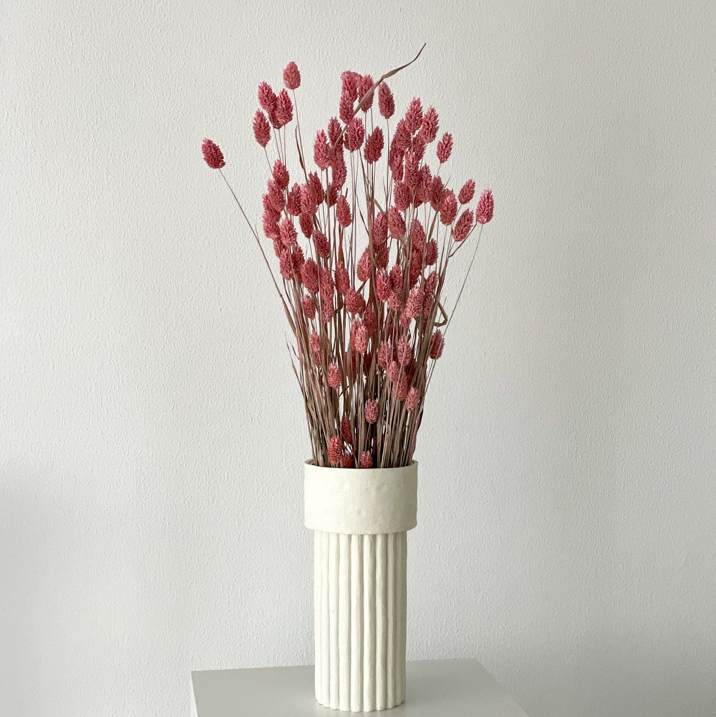 Phalaris I Kanariengras: Vielseitiger Allrounder für Deine Trockenblumen-Dekoration 