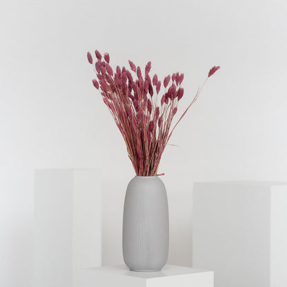 Phalaris I Kanariengras: Vielseitiger Allrounder für Deine Trockenblumen-Dekoration 