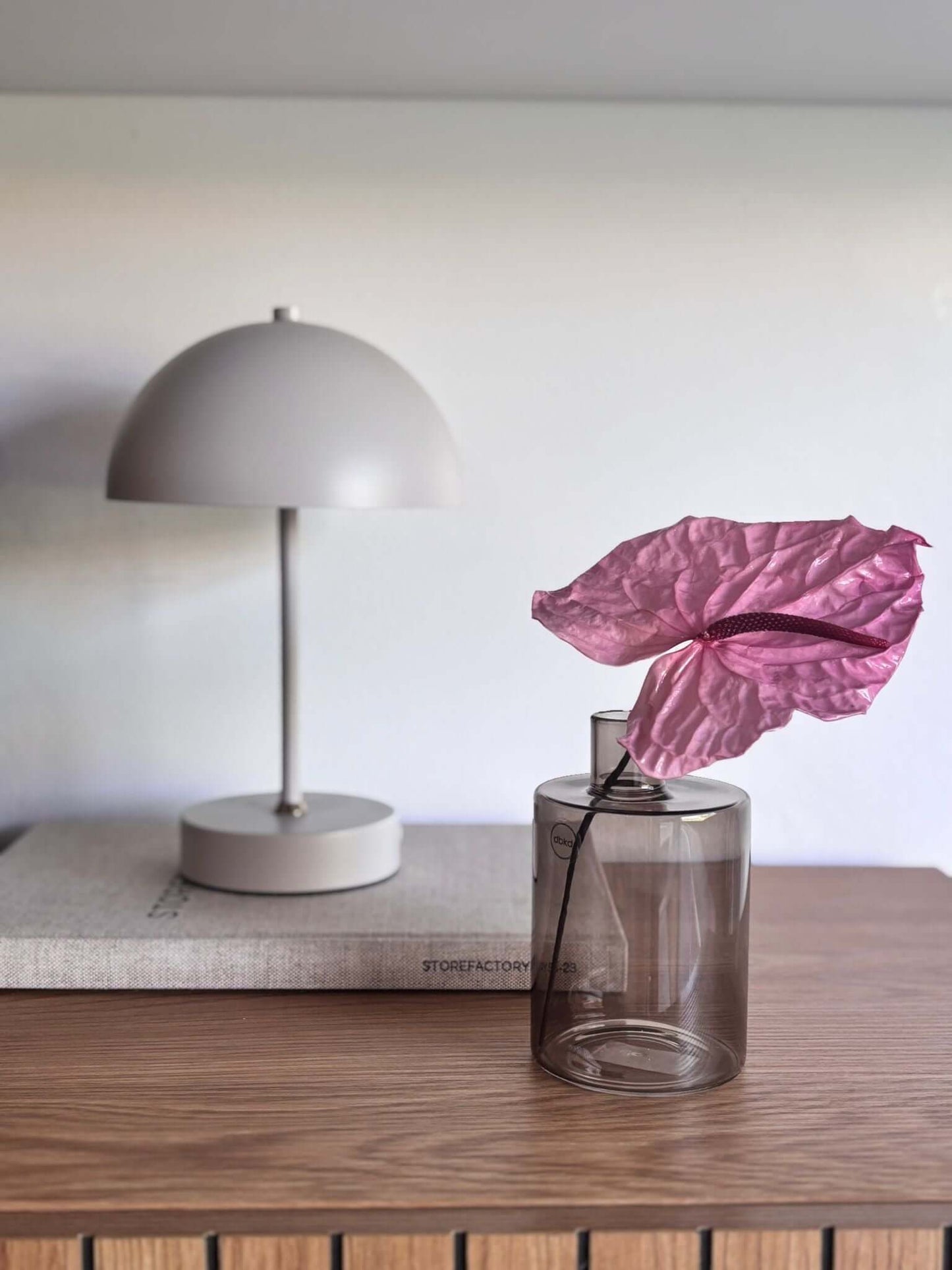 Anturie konserviert einzeln 