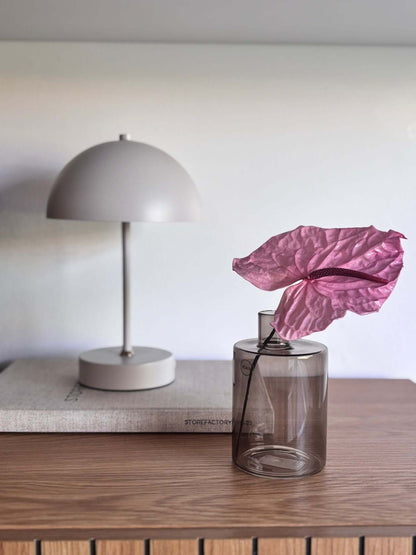 Anturie konserviert einzeln 