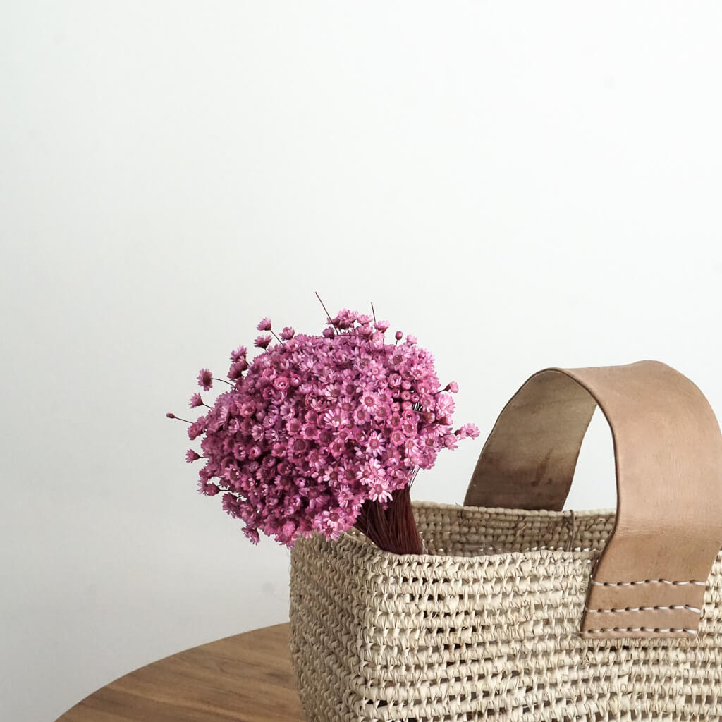 Glixia in Vielfalt: Farbenprächtige Trockenblumen für ein kreative Dekoration 